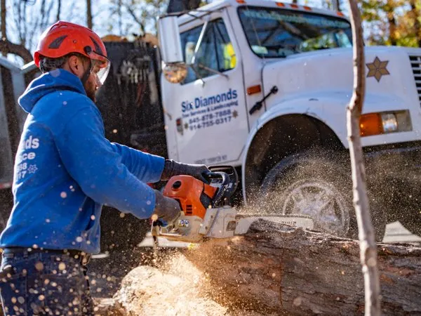 Trusted residential landscaping for beautiful yards across Pawling, NY - Six Diamonds Tree Services & Landscaping