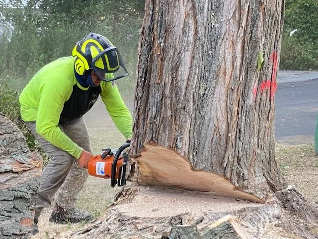 Custom lawn care service for year-round maintenance across Pawling, NY - Six Diamonds Tree Services & Landscaping