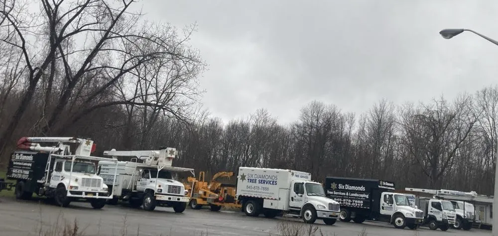 Affordable yard maintenance experts serving Pawling, NY - Six Diamonds Tree Services & Landscaping