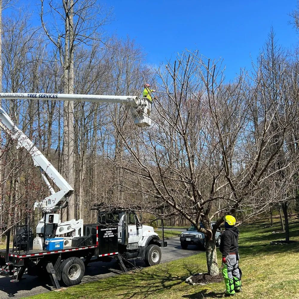 Custom lawn mowing service for outdoor upgrades in Pawling, NY by Six Diamonds Tree Services & Landscaping