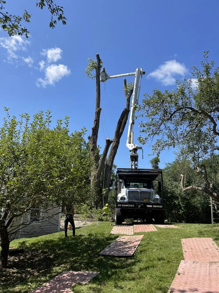 Trusted garden landscaping with custom design across Pawling, NY - Six Diamonds Tree Services & Landscaping