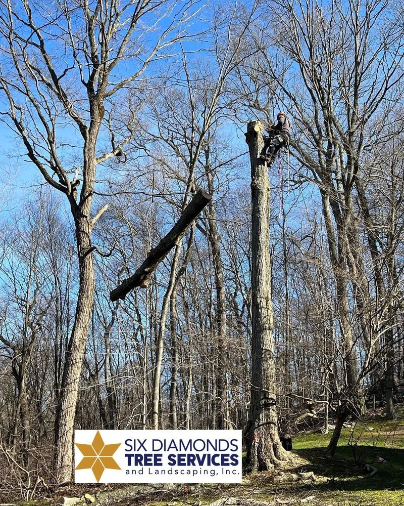 Trusted garden landscaping near you in Pawling, NY by Six Diamonds Tree Services & Landscaping