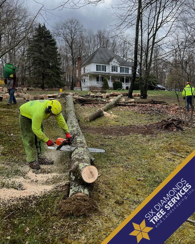 Trusted lawn mowing service experts serving Pawling, NY - Six Diamonds Tree Services & Landscaping