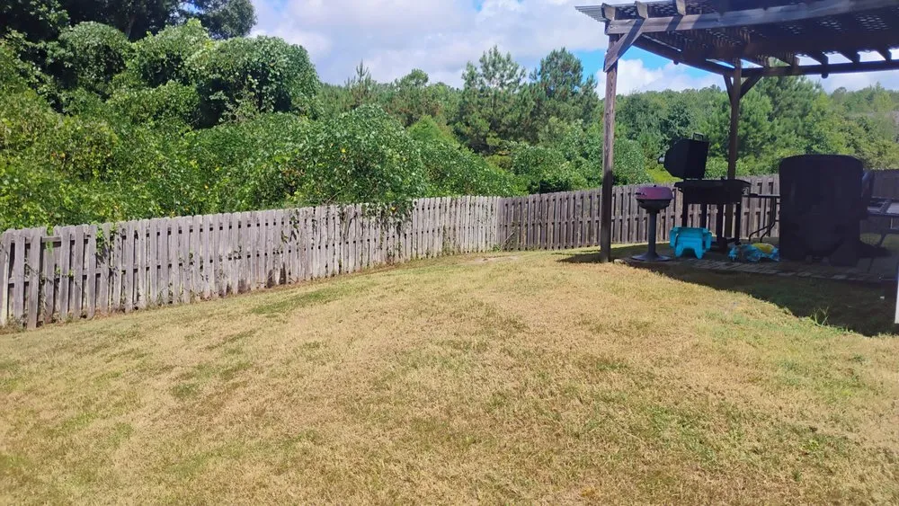 Local landscaping services for year-round maintenance in Columbus, GA by Sixfigr Lawn Care