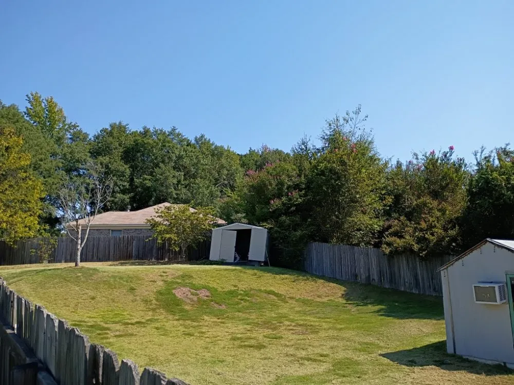 Professional yard cleanup service for year-round maintenance across Columbus, GA - Sixfigr Lawn Care