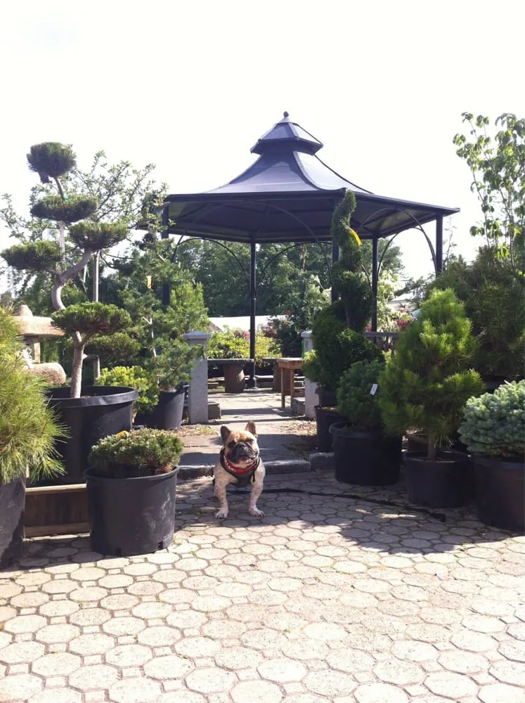 Top-rated yard maintenance for homes across Springfield, MA - Sixteen Acres Garden Center
