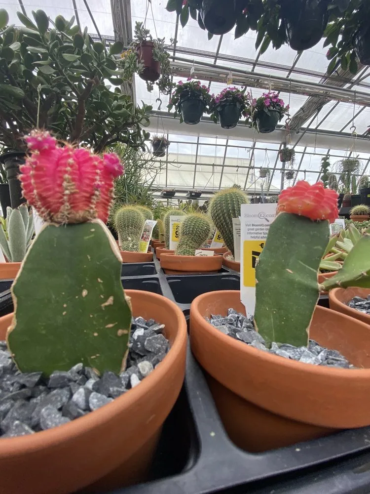 Custom landscape installation in Springfield, MA - Sixteen Acres Garden Center