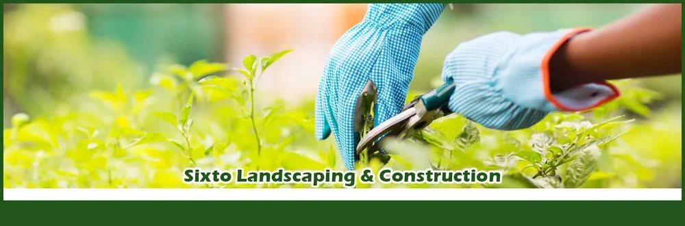 Local yard cleanup service experts serving Richmond, CA - Sixto Landscaping & Construction