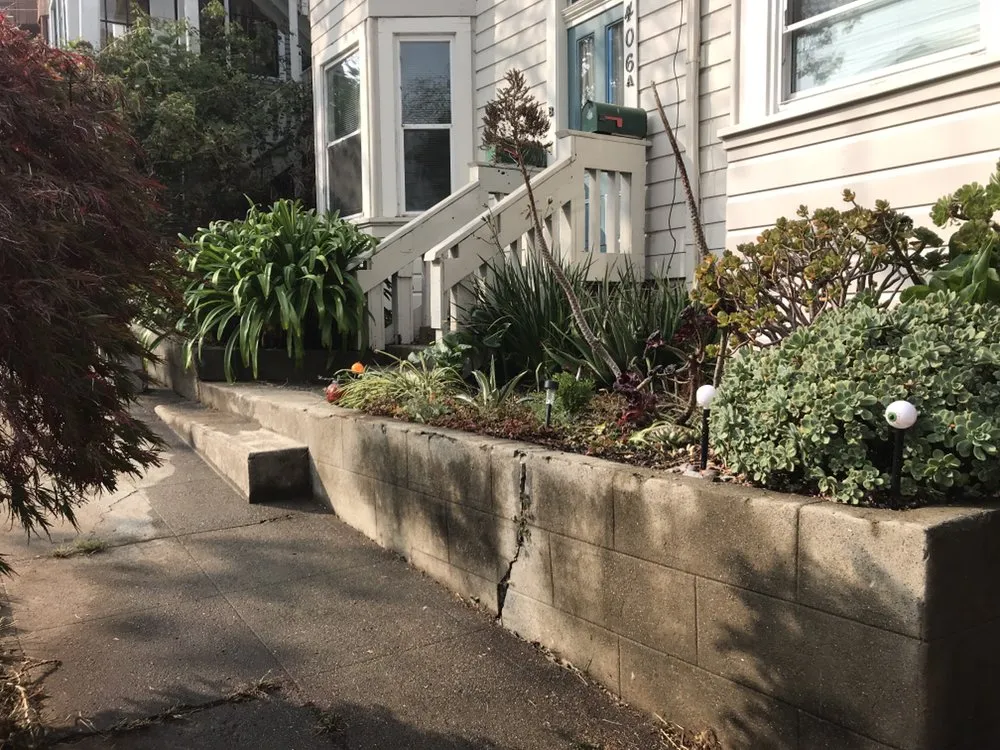 Top-rated yard cleanup service near you in Richmond, CA by Sixto