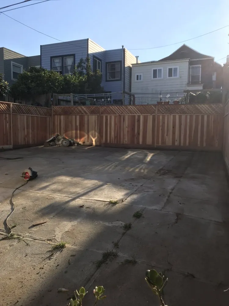 Expert yard cleanup service in Richmond, CA by Sixto
