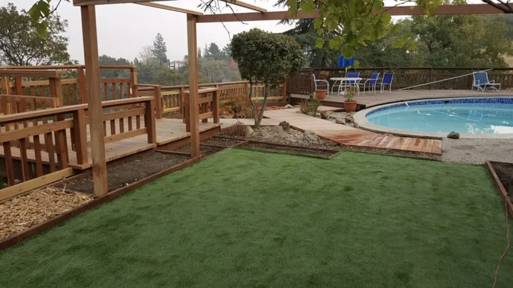 Top-rated yard cleanup service experts serving Richmond, CA - Sixto