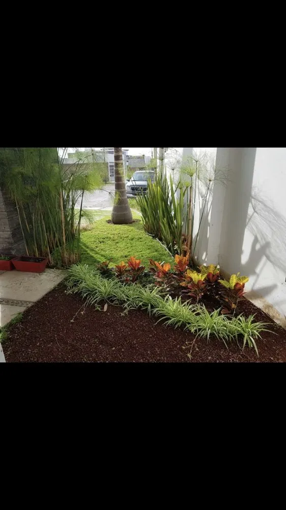 Local yard cleanup service with custom design across Richmond, CA - Sixto