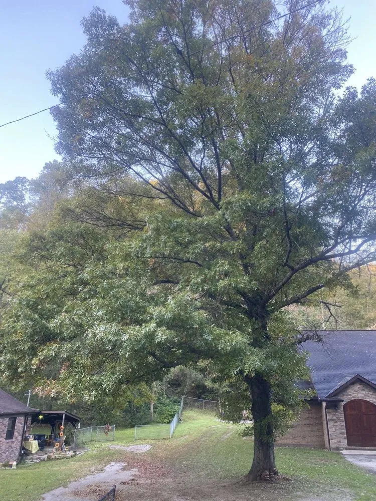 Professional landscaping services in Hazard, KY by Sizemore Landscaping & Tree Removal