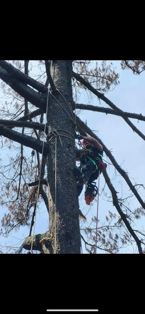 Professional lawn mowing service in Hazard, KY by Sizemore Landscaping & Tree Removal
