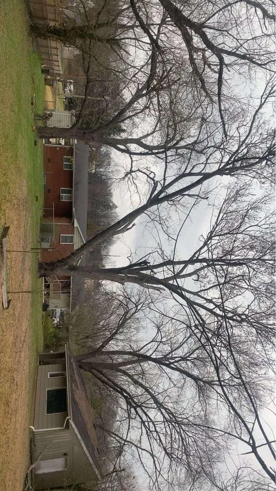 Top-rated lawn care service in Hazard, KY by Sizemore Landscaping & Tree Removal