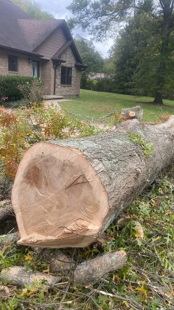 Custom lawn care service experts serving Hazard, KY - Sizemore Landscaping & Tree Removal