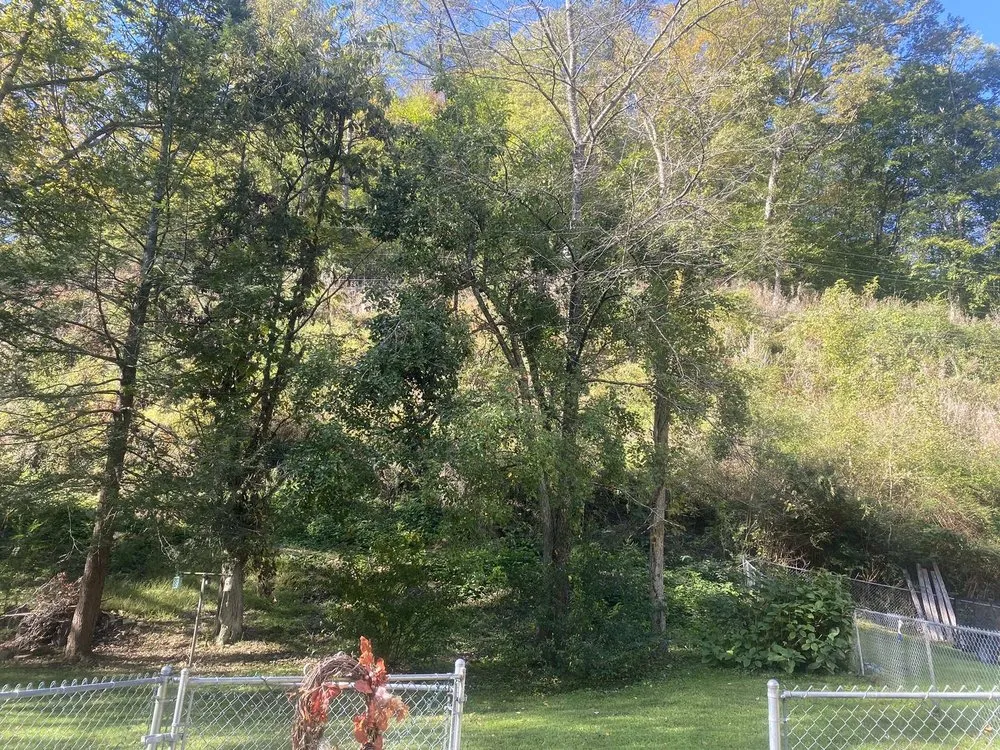 Custom lawn care service experts serving Hazard, KY - Sizemore Landscaping & Tree Removal