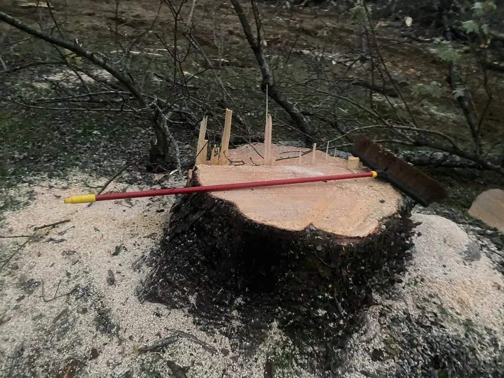 Trusted landscape installation experts serving Hazard, KY - Sizemore Landscaping & Tree Removal