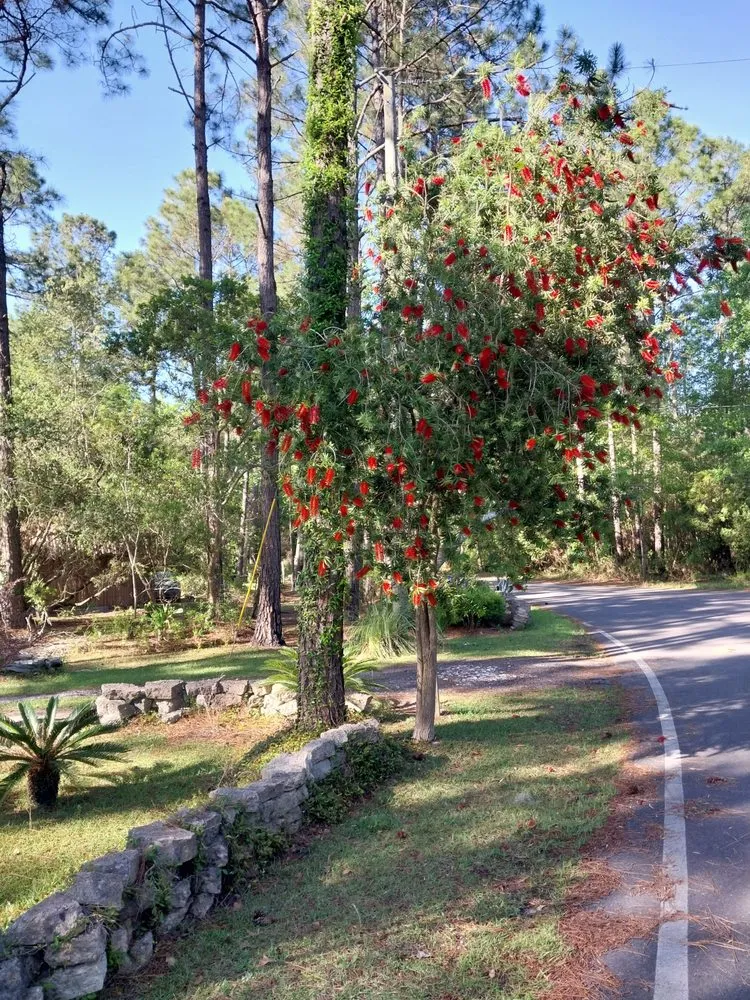 Local landscape installation experts serving Jesup, GA - Sizzorhand landscaping