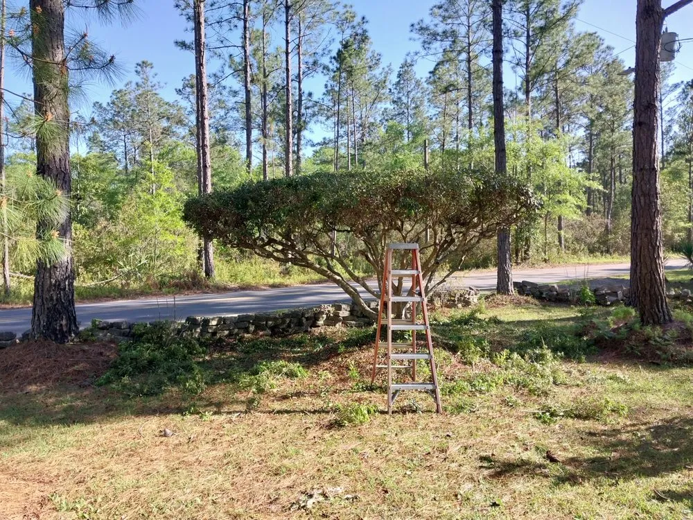 Reliable landscape design in Jesup, GA by Sizzorhand landscaping