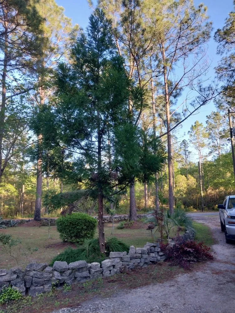 Affordable outdoor landscaping experts serving Jesup, GA - Sizzorhand landscaping