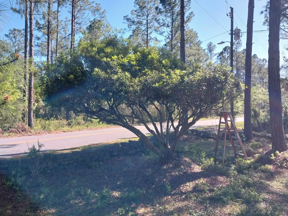 Trusted landscape installation experts serving Jesup, GA - Sizzorhand landscaping