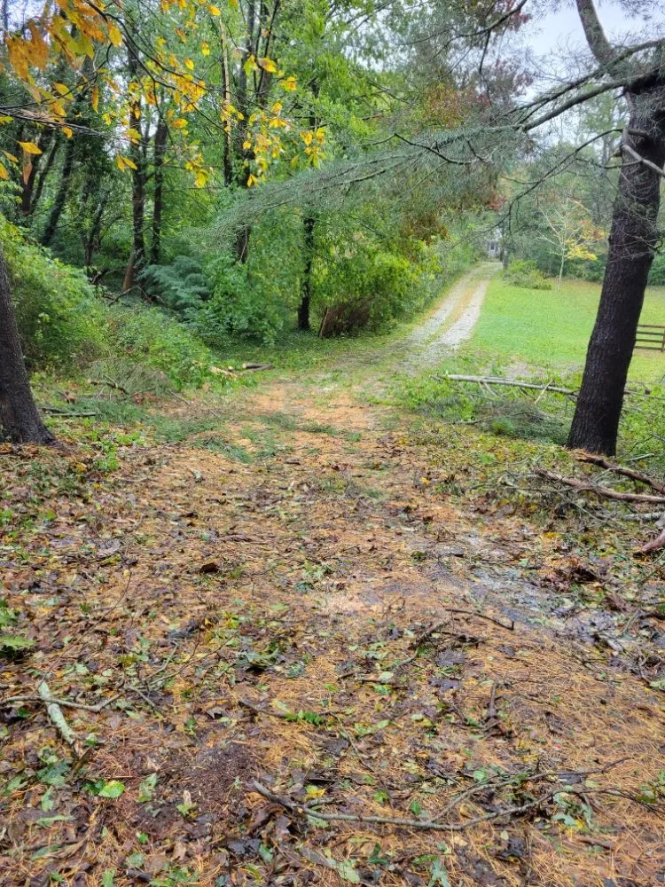 Reliable yard maintenance experts serving Hatchville, MA - S&J Landscape & Irrigation