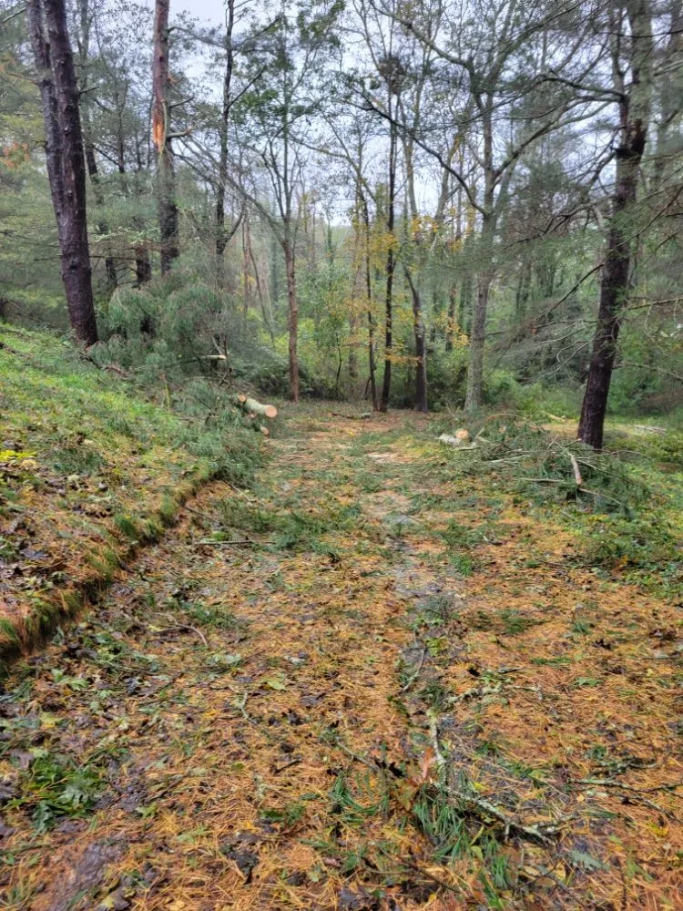 Affordable yard cleanup service in Hatchville, MA - S&J Landscape & Irrigation