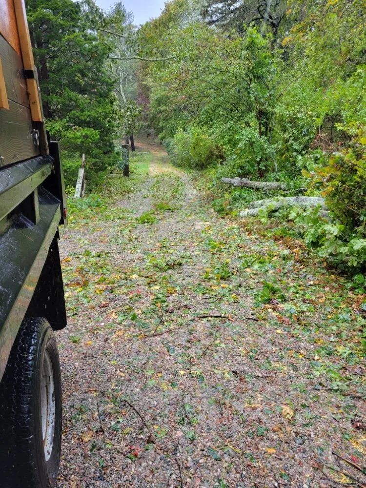 Custom yard cleanup service for residential properties across Hatchville, MA - S&J Landscape & Irrigation