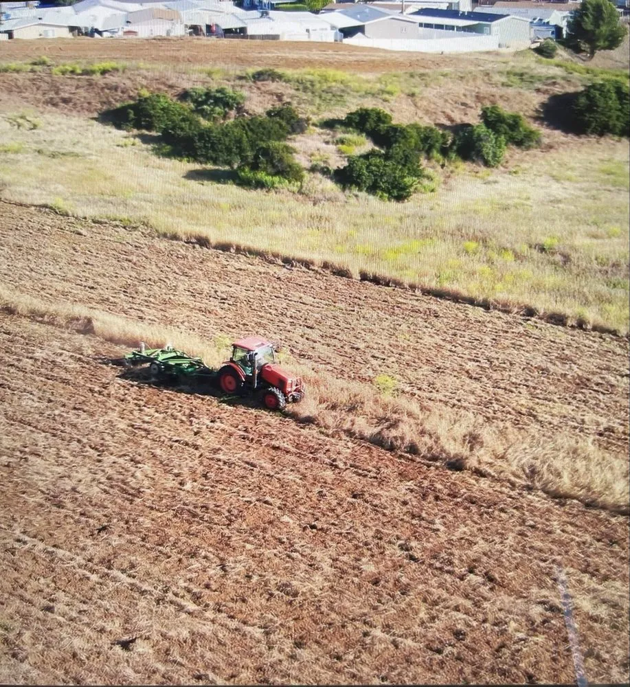 Custom yard cleanup service experts serving Yucaipa, CA - SJ Landscape