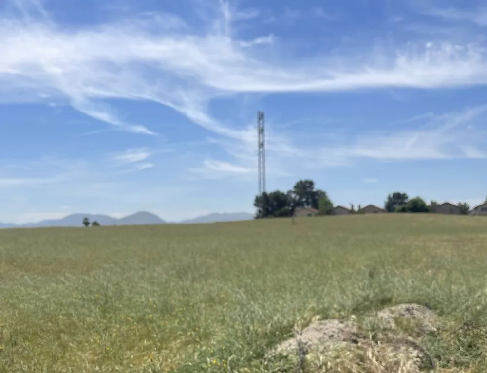 Affordable yard maintenance experts serving Yucaipa, CA - SJ Landscape