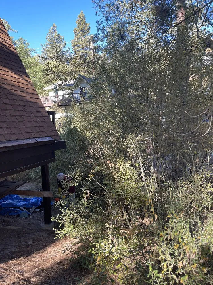 Affordable yard cleanup service in Yucaipa, CA - SJ Landscape