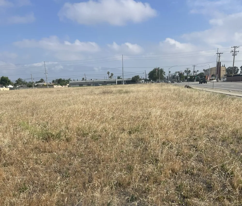 Reliable yard cleanup service in Yucaipa, CA - SJ Landscape