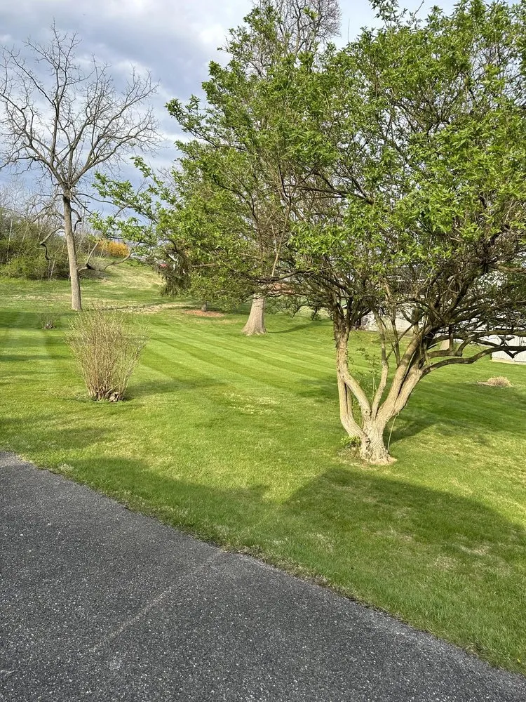 Expert landscape design in Waynesboro, PA - SJ Landscaping & Services