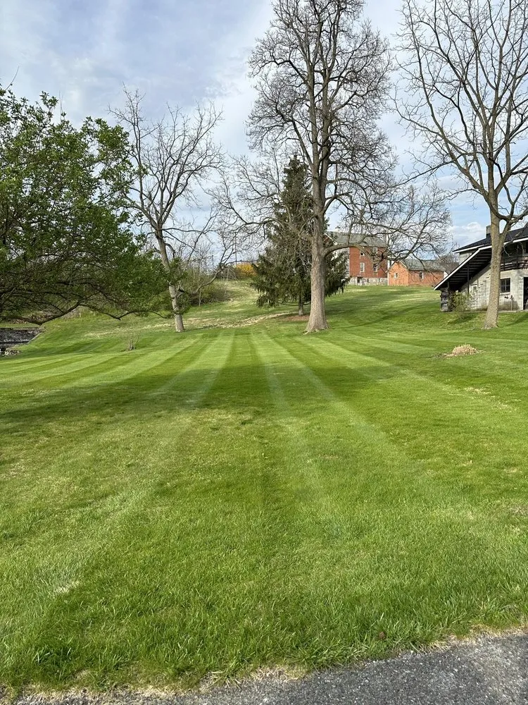 Professional yard cleanup service in Waynesboro, PA - SJ Landscaping & Services