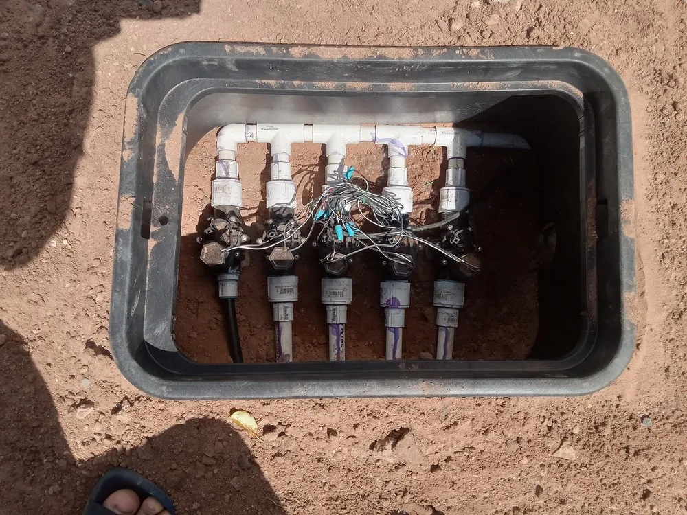 Professional landscaping services for beautiful yards across Cottonwood, AZ - S&J Landscaping and Maintenance