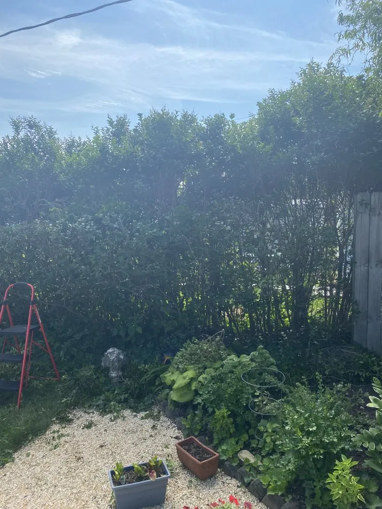 Professional outdoor landscaping in Biglerville, PA by S&J Landscaping