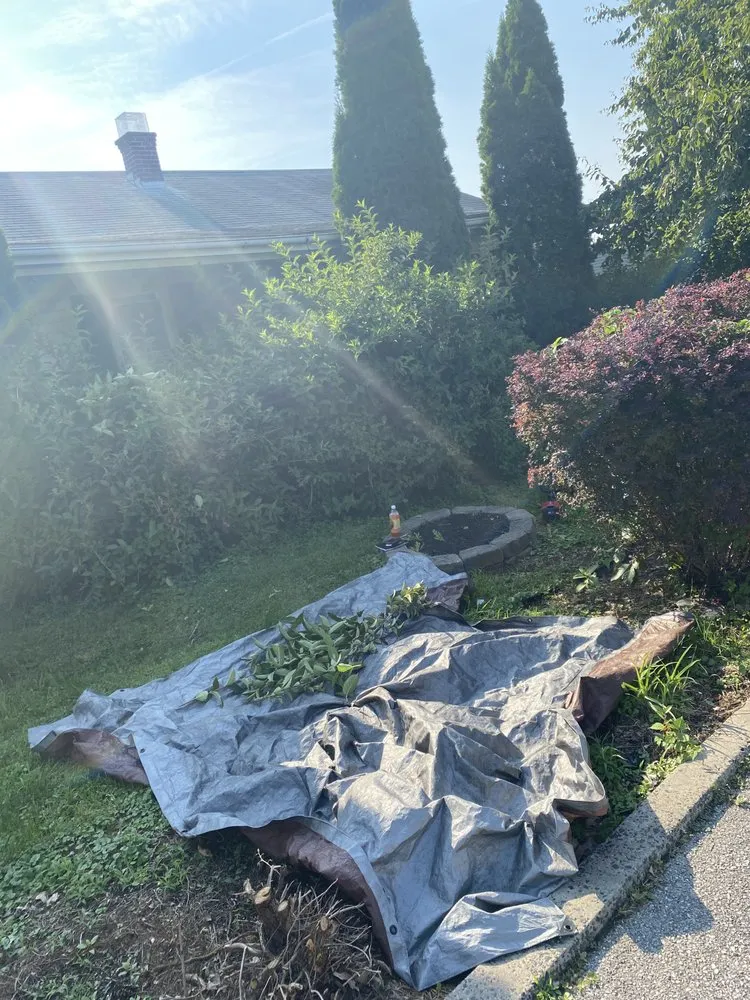 Reliable yard cleanup service experts serving Biglerville, PA - S&J Landscaping