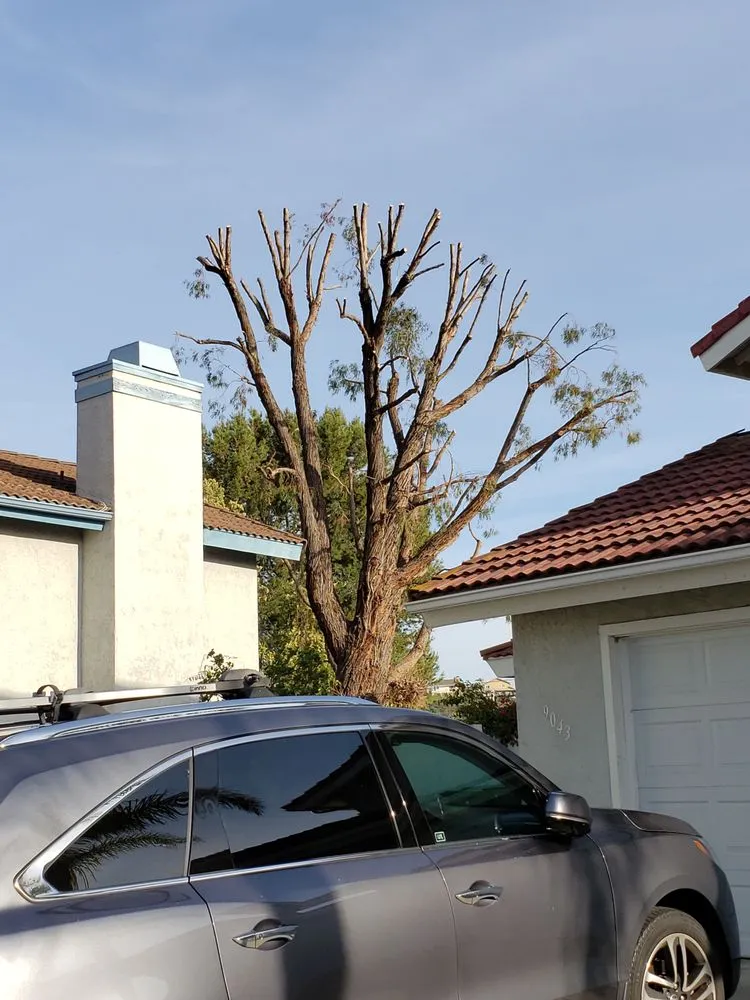 Top-rated landscape design for outdoor upgrades in Escondido, CA by S&J Landscaping