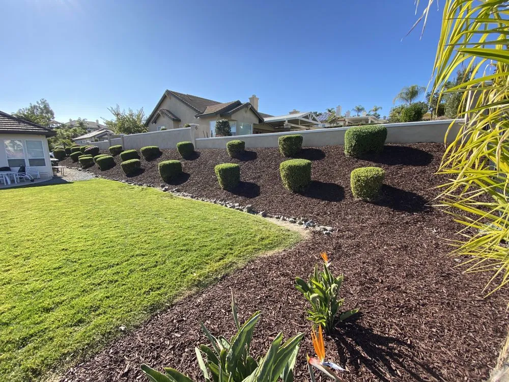 Expert landscape installation near you across Escondido, CA - S&J Landscaping