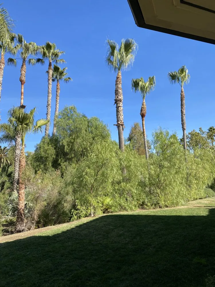 Trusted lawn mowing service for residential properties across Escondido, CA - S&J Landscaping