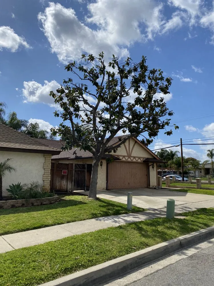 Top-rated landscaping services for homes across Escondido, CA - S&J Landscaping