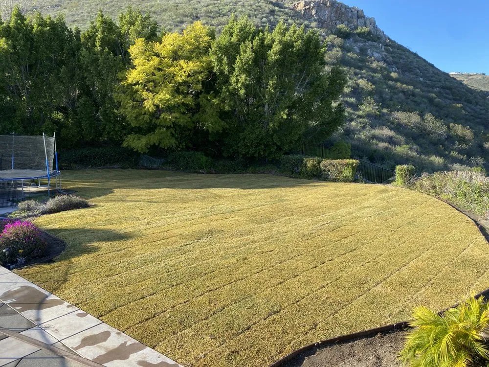 Local lawn mowing service for outdoor upgrades across Escondido, CA - S&J Landscaping