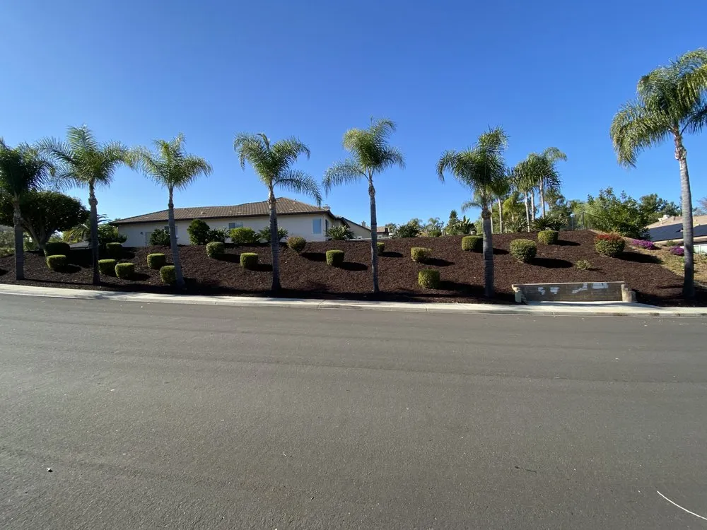 Custom yard cleanup service for beautiful yards in Escondido, CA by S&J Landscaping
