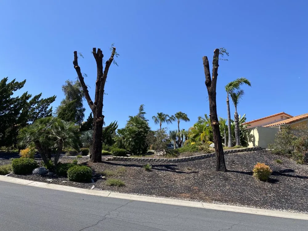 Reliable yard maintenance in Escondido, CA by S&J Landscaping