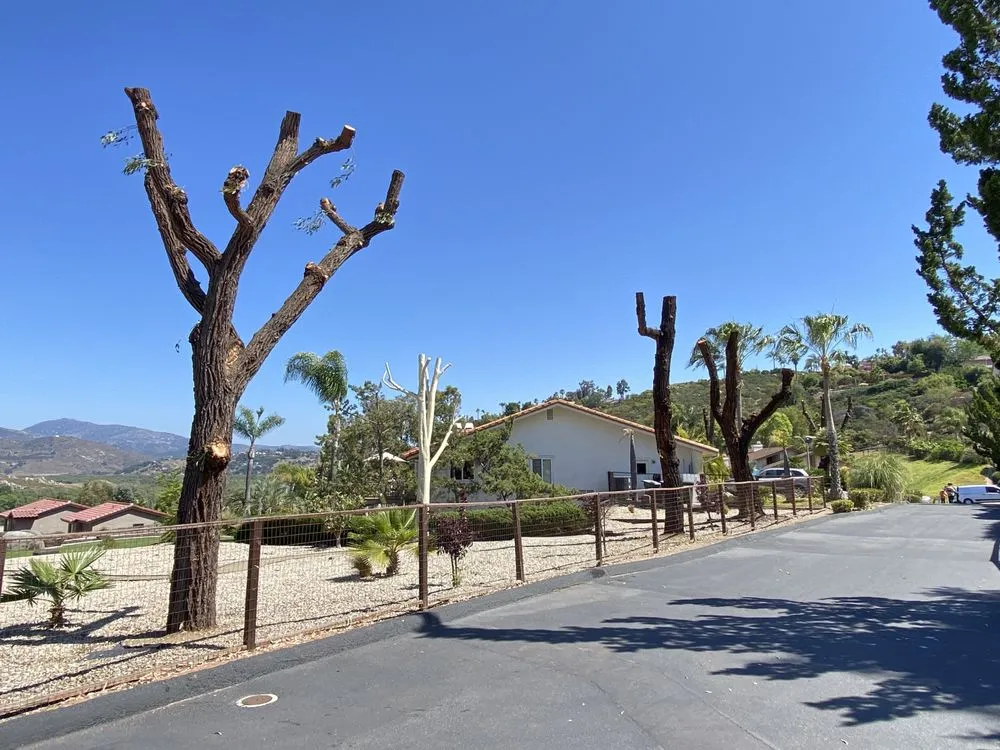 Reliable yard cleanup service in Escondido, CA - S&J Landscaping