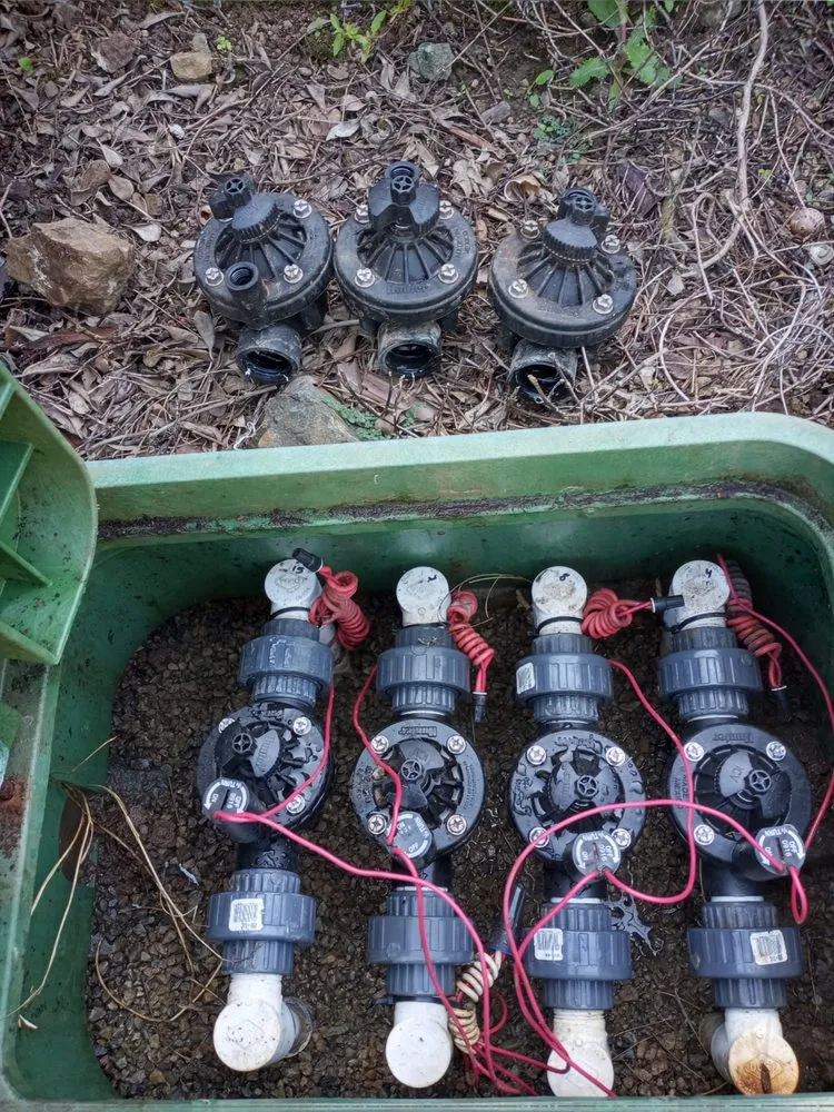 Affordable yard maintenance for beautiful yards across Escondido, CA - S&J Landscaping