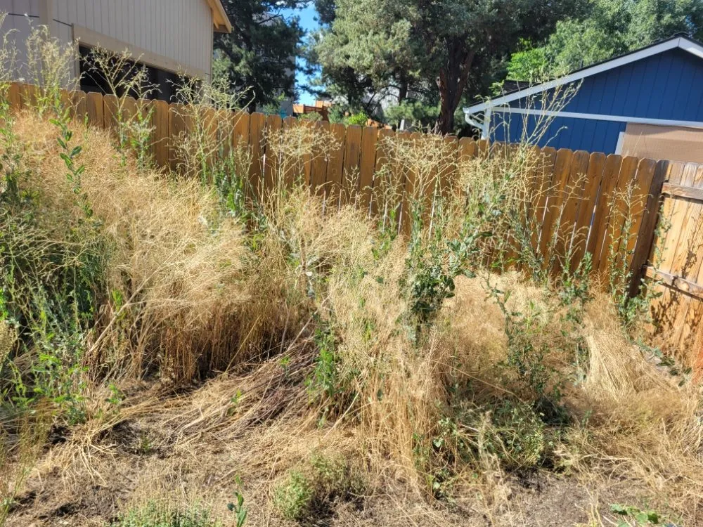 Custom landscape installation near you across Culver, OR - SJ Lawn & Maintenance