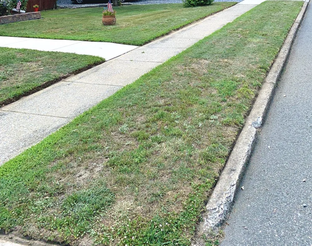Affordable landscape installation in National Park, NJ by SJ Lawn Barber