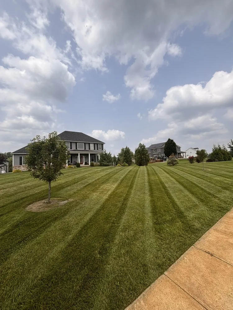 Top-rated lawn care service experts serving National Park, NJ - SJ Lawn Barber